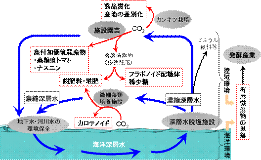 高付加価値化